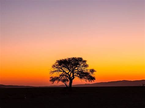 Oleg Ace On Instagram A Stunning Desert Sunset Colors The Sky Above
