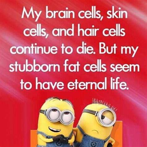 Top 97 Funny Minions Quotes And Sayings Dailyfunnyquote