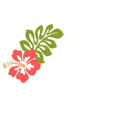 Coral Hibiscus Png Svg Clip Art For Web Download Clip