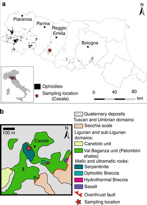 Abiotic formation of condensed carbonaceous matter in the hydrating