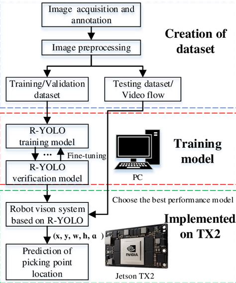 Yolo Tomato Model Flowchart For Dataset Training And Detection Process