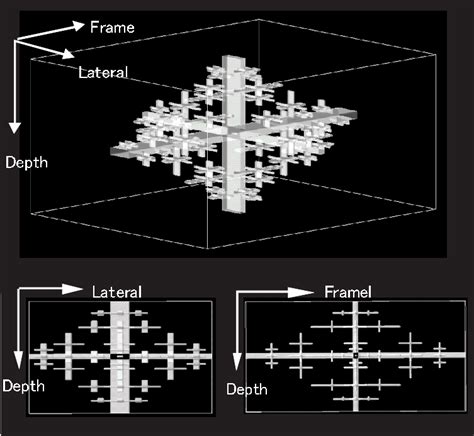 Form Of Three Dimensional Echo Filter The Central Voxel Of Filter Is