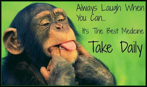 Pics Photos Funny Quote Always Laugh When You Can It Is Cheap Medicine