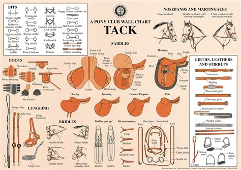 Tack Wall Chart Horse Lessons Riding Lessons Horse Camp Horse Life