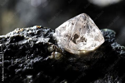 Natural Diamond Nestled In Kimberlite Stock Photo Adobe Stock