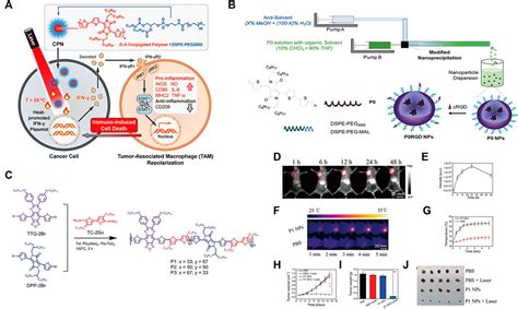 Frontiers Light Activated Nanomaterials For Tumor Immunotherapy