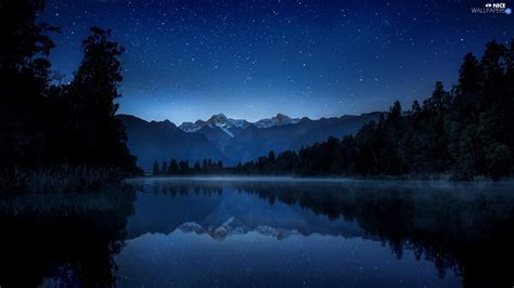 Fog Night Lake Forest Mountains Nice Wallpapers