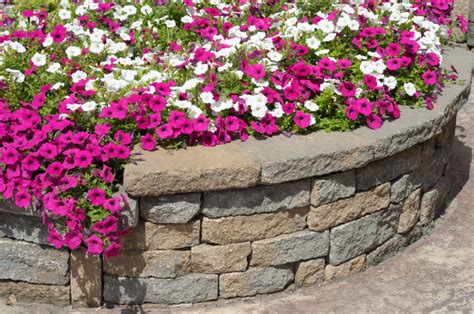 It is kind of like cantilever holding walls except they need skinny vertical. 50 Backyard Retaining Wall Ideas and Terraced Gardens ...