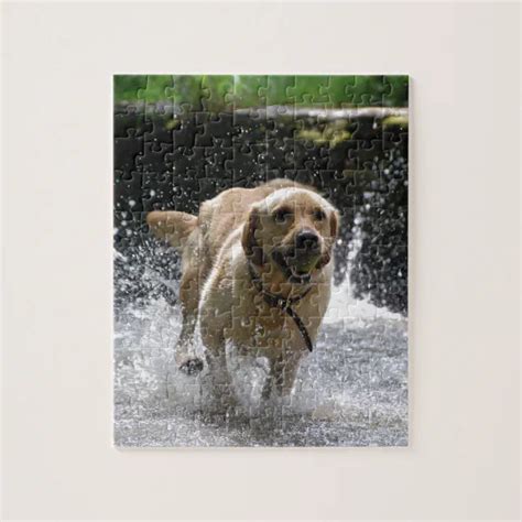 Labrador Jigsaw Puzzle Zazzle