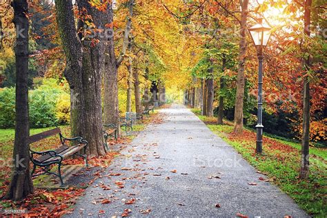Paul smith is britain's foremost designer. Autumn Park Stock Photo - Download Image Now - iStock