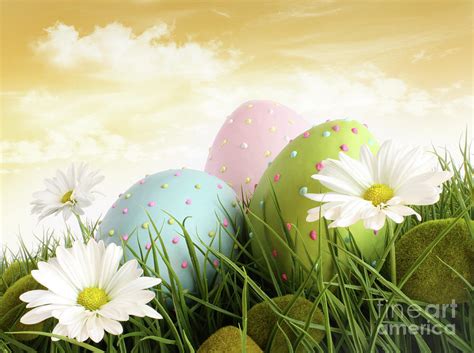 Closeup Of Decorated Easter Eggs In The Grass With Flowers Photograph