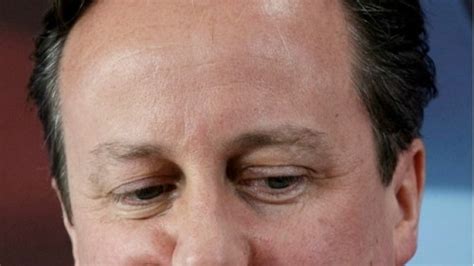 Truth Or Hogwash British Pm David Cameron Accused Of Having Sex With A