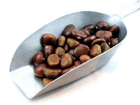 Organic Fresh Chestnuts In Kg From Real Foods