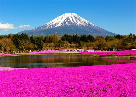 Even Japanese People Dont Know That 11 Secrets About Mt Fuji The