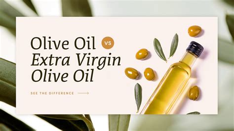 Olive Oil Vs Extra Virgin Olive Oil Whats The Difference YouTube