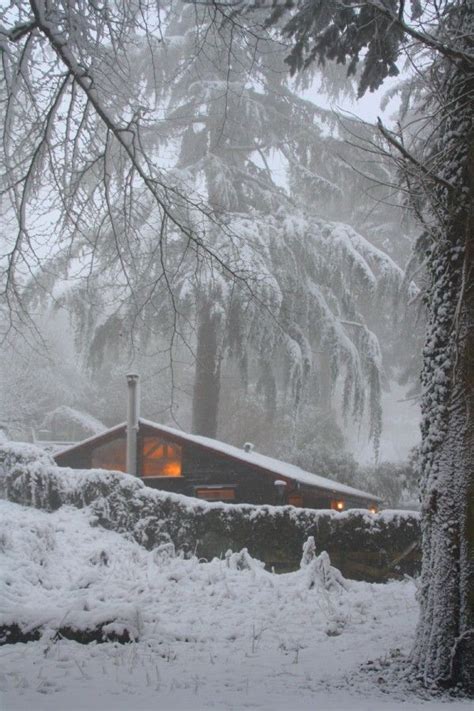 Maybe you would like to learn more about one of these? Romantic woodland hideaway Cabin Dartmoor | Romantic cabin ...