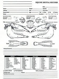 Tested in general practices by vets, nurses and technicians to make it quick and easy to use in any clinic. Equine Dental Chart for Equine Dentistry and Veterinary ...