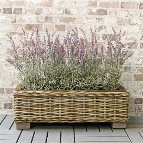 Select round, square, and rectangular shapes to suit the space. Grey & Buff Rattan Rectangular Trough Planter - The Basket ...