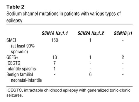 Jci Sodium Channel Mutations In Epilepsy And Other Neurological Disorders