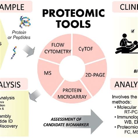 Proteomic Tools As Powerful Approach In The Investigation Of Bcp All Download Scientific