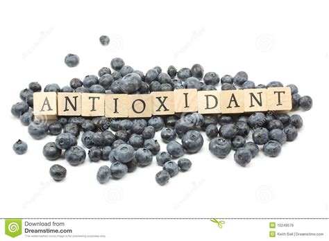 Antioxidant Blueberries Stock Photo Image Of Healthy 10248576