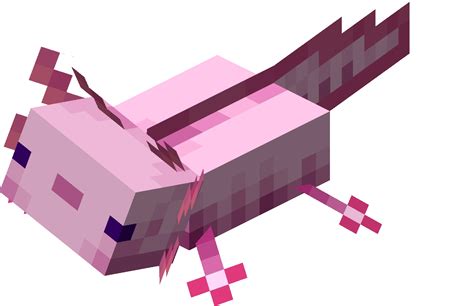 Minecraft Axolotl Layout
