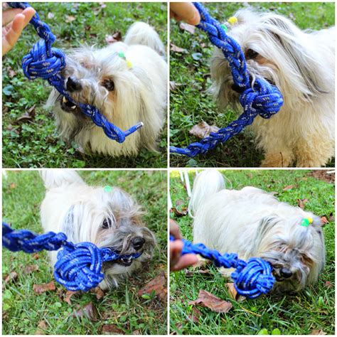 To Dog With Love Diy Dog Toys How To Make A Rope Tug Toy Paw2014