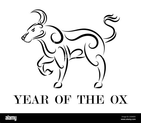 Line Vector Illustration Of Ox It Is Signs Of Year Of The Ox Stock