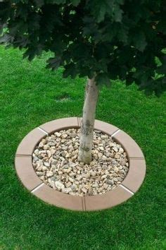 Daylilies make a nice border around the tree but require a decent amount of sun hostas look great around the base of this tree but you'd have to have decent soil and adequate water. A simple tree ring with circle pavers. | Stony Creek ...