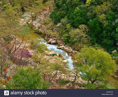 Neda River Hi Res Stock Photography And Images Alamy