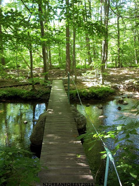 Place thusly building a walking bridge over a creek that it. Foot bridge over creek | Footbridge, Outdoor landscaping ...