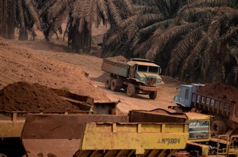 This paper examines the importance of structures and processes in the sharia committee boardroom of selected microfinance firms in malaysia through survey perception. Malaysia may suspend bauxite mining