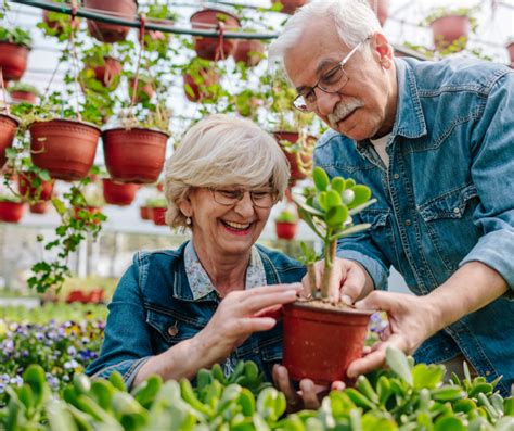 Seniors Get Growing Dwell At Home