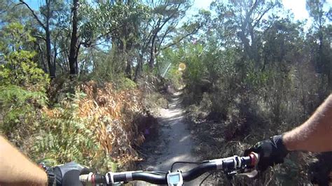 Mountain Biking At Red Hill Wombat Track Youtube