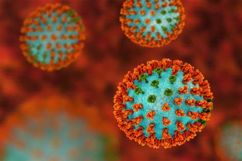 Unlike a cold, flu symptoms start suddenly. Flu's clues: A new approach to studying influenza | The ...
