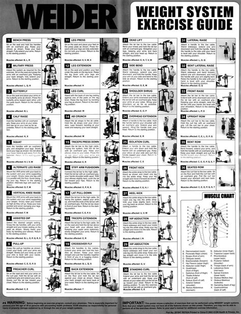 Weider Pro Exercise Chart Gym Workouts Machines Workout Chart
