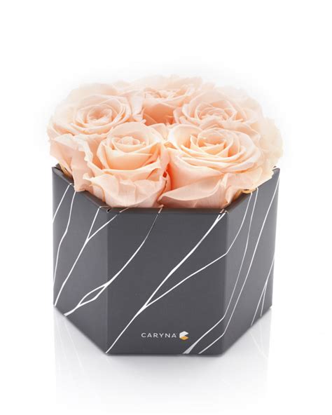 Chic 5 Candy Pink Roses