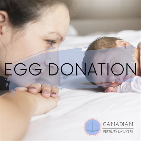 Donors can donate eggs every 3 months after completing an egg donation cycle. Egg donation image by Canadian Fertility Lawyers on Egg Donation | Fertility, Baby face