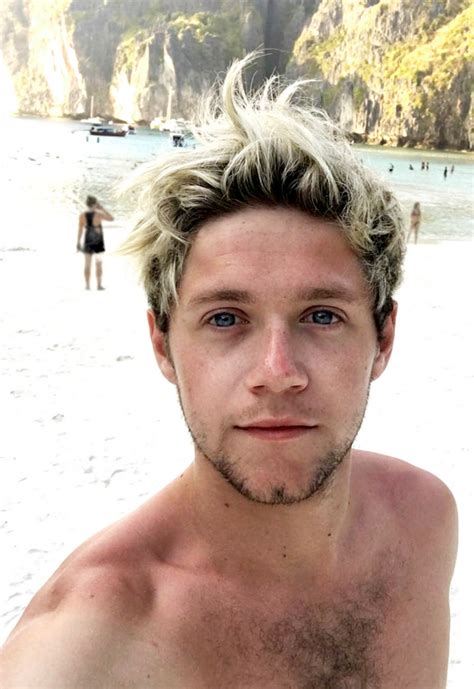 Niall Horan Nude And Hairy Naked Male Celebrities
