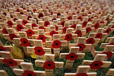 Commemorating End Of World War I With Poppies And A Pause The New