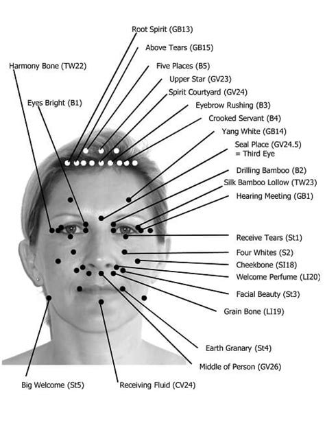Facial Reflexology Acupressure Points On The Face And Skull