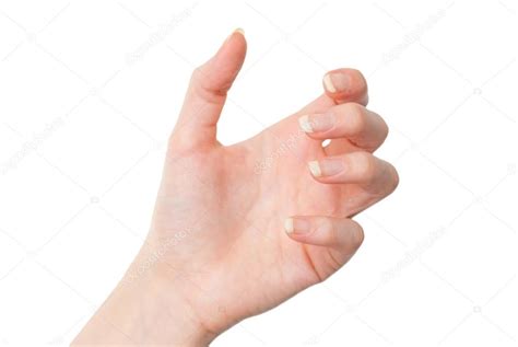 We did not find results for: Female hand holding something — Stock Photo © ibreakstock ...