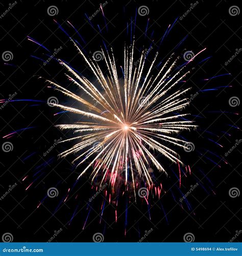 Yellow Blue Firework Stock Photo Image Of Exploding Fire 5498694