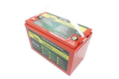 24v 50ah Lithium Ion Lifepo4 Deep Cycle Battery Advanced Professional
