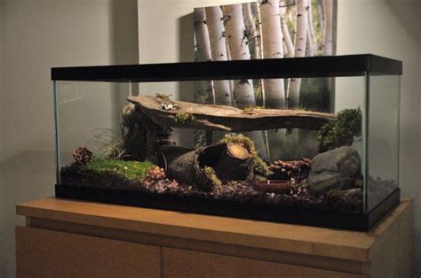 Pin By Bree Rodriguez On Planted Aquariums Pet Snake Snake Terrarium