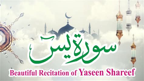 Surah Yaseen Shareef Yasin Beautiful Recitation Of 36th Surah Of
