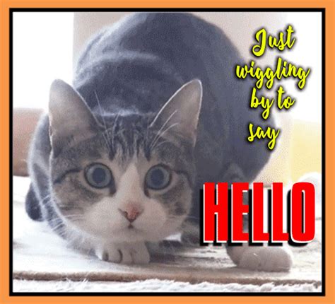 Just Wiggling By To Say Hello Free Hi Ecards Greeting Cards 123 Greetings