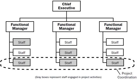 The 4 Types Of Project Organizational Structure