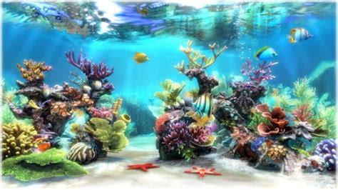 🔥 48 3d Live Aquarium Wallpapers Wallpapersafari