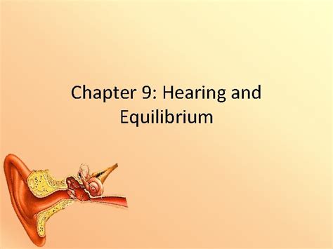 Chapter 9 Hearing And Equilibrium Equilibrium And Hearing